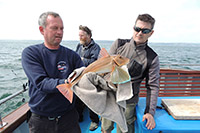 Specimen Tub Gurnard - Released of Course